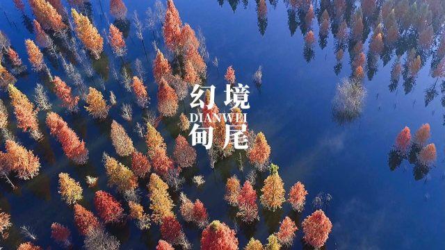 原帅豪宴赵继伟!豪华菜肴+豪宅曝光+热闹场面,高诗岩加入